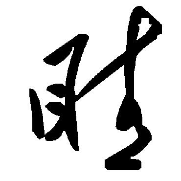 毛泽东睛