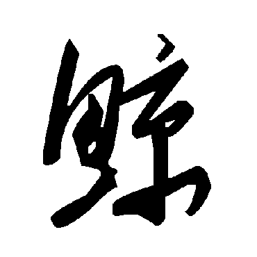 毛泽东鲸