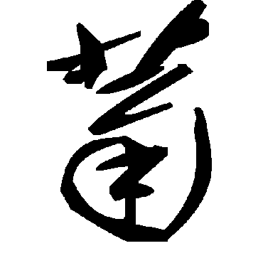 毛泽东菊