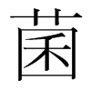 韩国明朝体 style=
