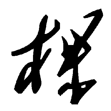 毛泽东棵