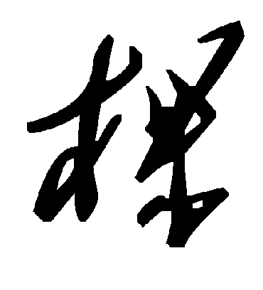 毛泽东棵