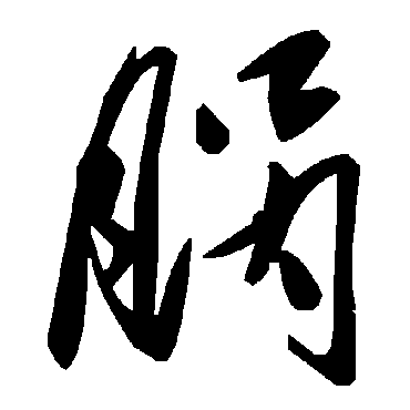 毛泽东腡