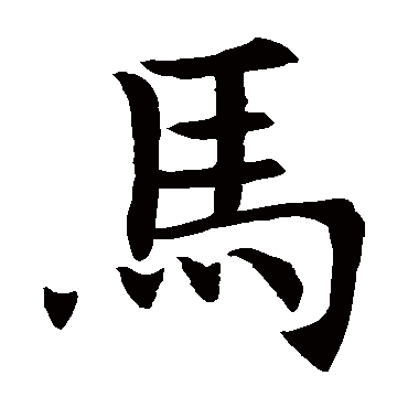 王知敬马