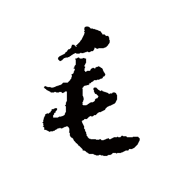 蒋善进毛