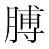 韩国明朝体 style=