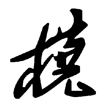 毛泽东桡