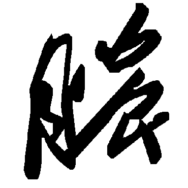 毛泽东脓