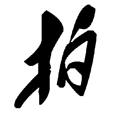 毛泽东拍