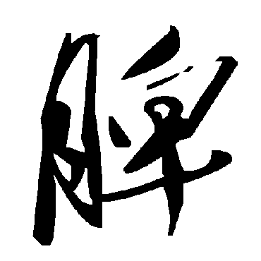 毛泽东脾