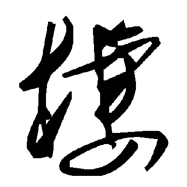 毛泽东槭