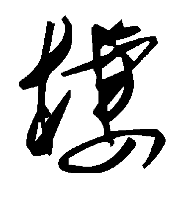 毛泽东槭