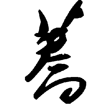 毛泽东荞