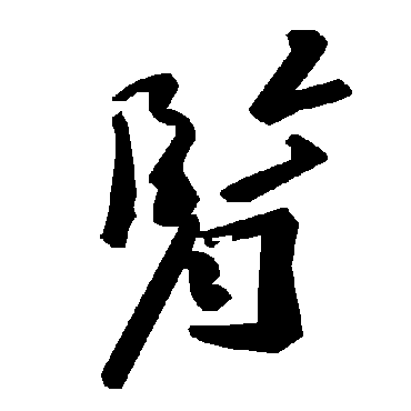毛泽东腎