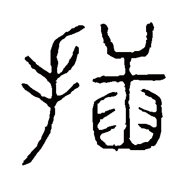 说文解字插