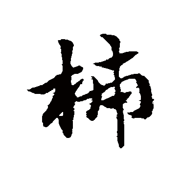 赵子昂柿