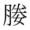 日本明朝体 style=