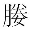 韩国明朝体 style=