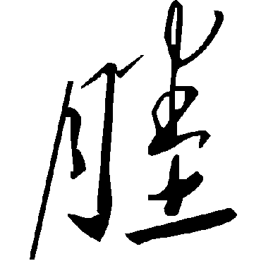 毛泽东塍