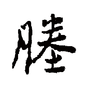 杨慎塍