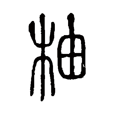 说文解字柚