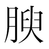 韩国明朝体 style=