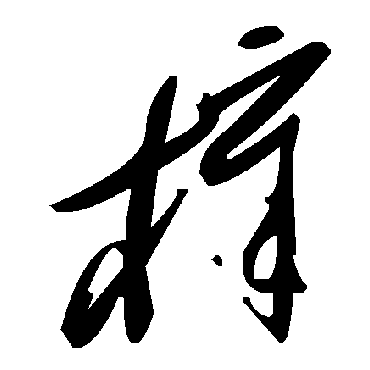 毛泽东樟