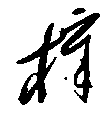 毛泽东樟