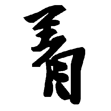 毛泽东着