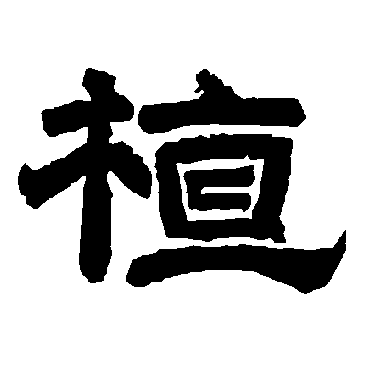 唐玄宗植