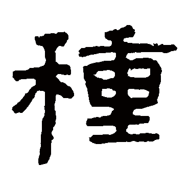 泰山金刚经種