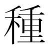 韩国明朝体 style=