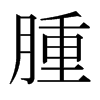 日本明朝体 style=