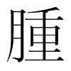 韩国明朝体 style=