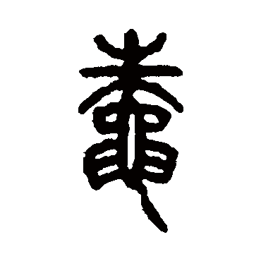 仰嘉祥蛛
