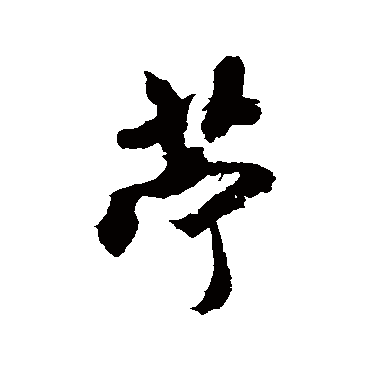 米芾苎