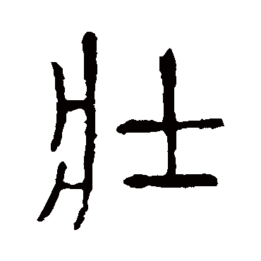 说文解字壮