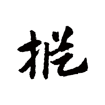 赵子昂枞