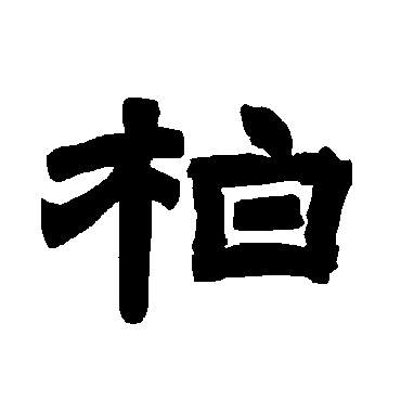 唐玄宗柏
