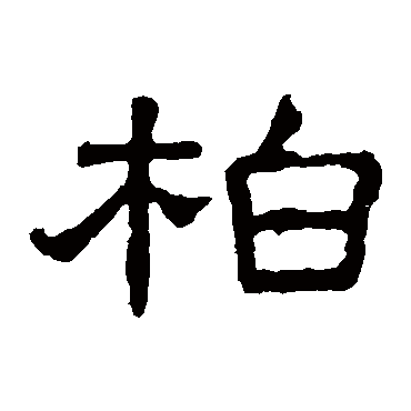 张表碑柏