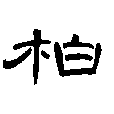 曹全碑柏