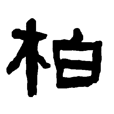 衡方碑柏