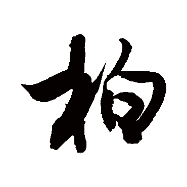 敬世江柏