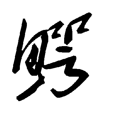 毛泽东鰐