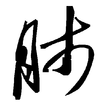 毛泽东肺