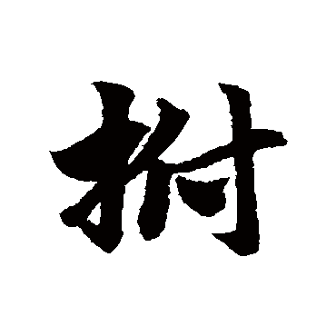 赵子昂拊