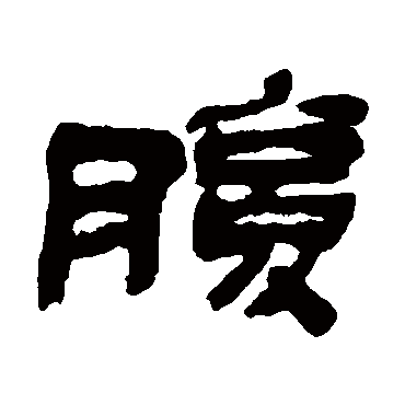 金农腹