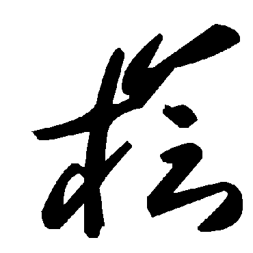 毛泽东檜