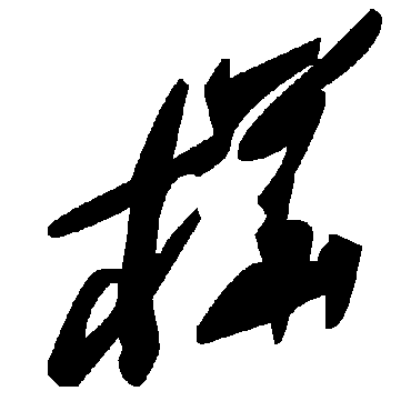 毛泽东桦