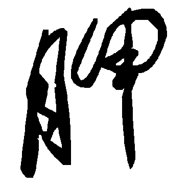 毛泽东胛